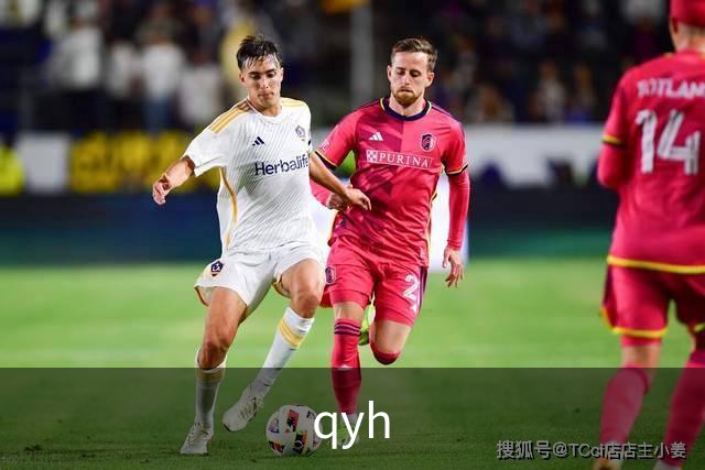 qyh公司介绍图片